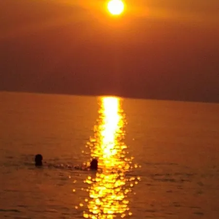 Efsane Cirali