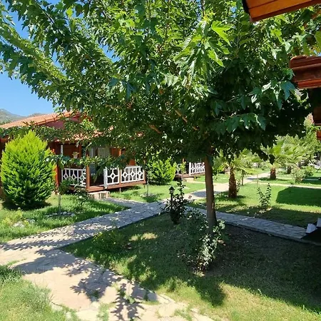 Efsane Cirali