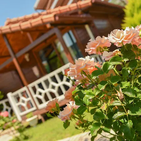 Holiday home Efsane *