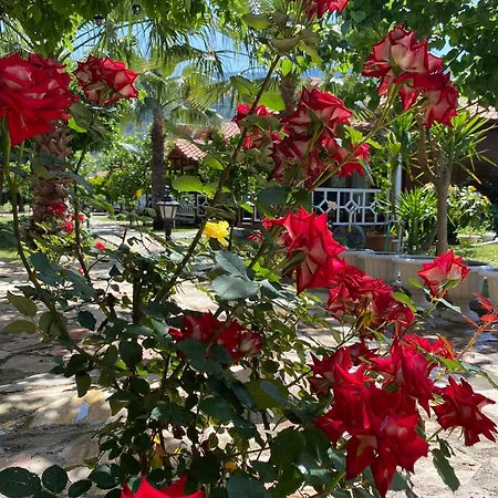 Efsane Holiday home